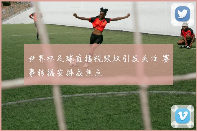 世界杯足球直播视频权引发关注 赛事转播安排成焦点