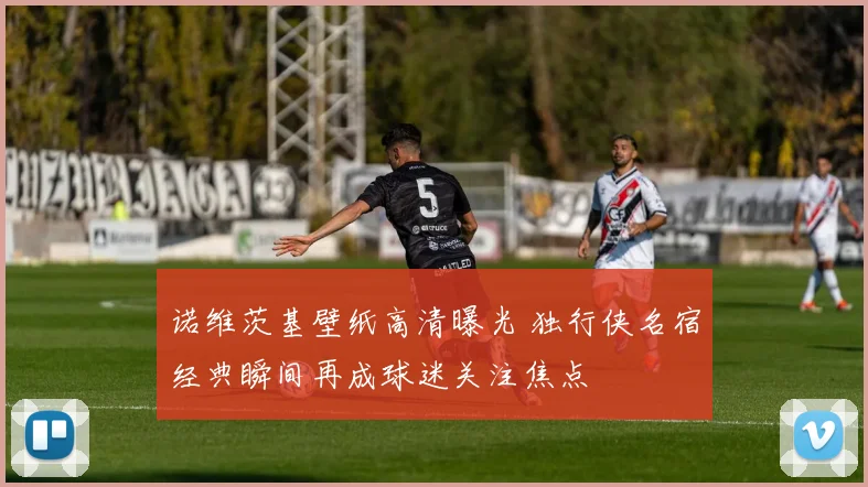 诺维茨基壁纸高清曝光 独行侠名宿经典瞬间再成球迷关注焦点