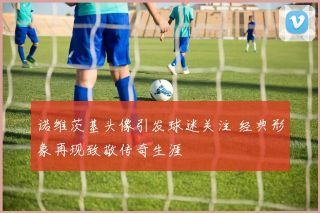 诺维茨基头像引发球迷关注 经典形象再现致敬传奇生涯