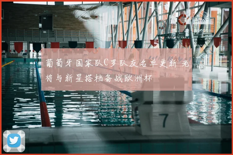 葡萄牙国家队C罗队友名单更新 老将与新星搭档备战欧洲杯