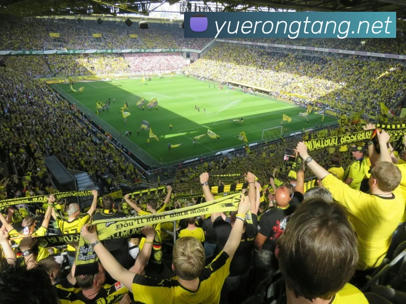 开云在线官网登录入口APP 体育赛事宣传图